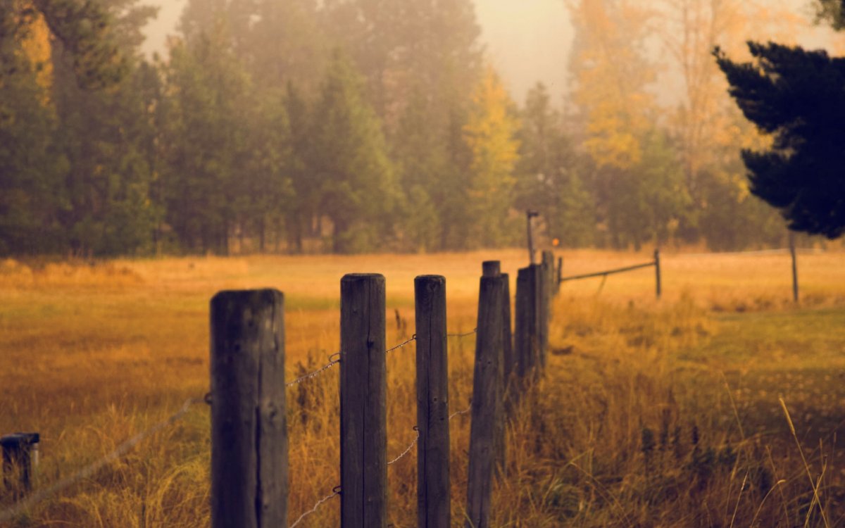 Lorem ipsum dolor sit amet