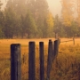 Lorem ipsum dolor sit amet
